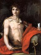 Andrea del Sarto The Young St.John oil painting reproduction